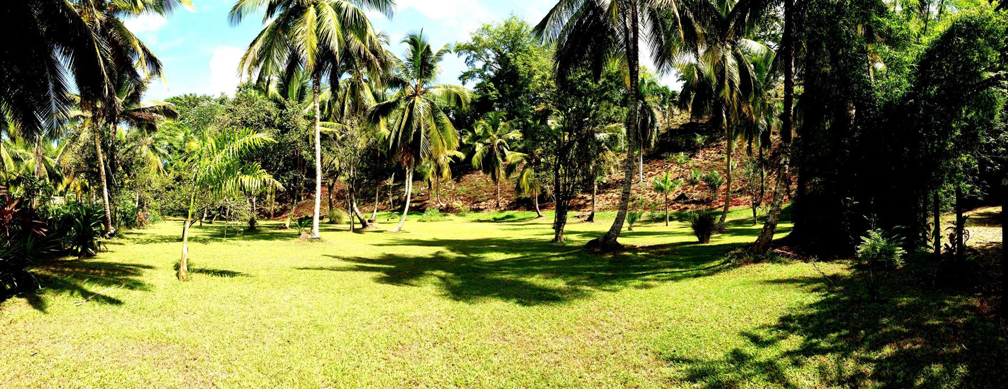 Lots for sale - Las Terrenas Real Estate